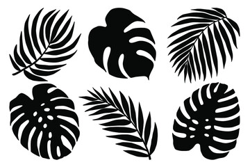 Hand drawn vector set of tropical leaves black silhouettes. Stock illustration of monstera and palm plants.