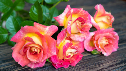 Close up yellow pink domestic roses lie on the table on the table. Delicate background for greeting card