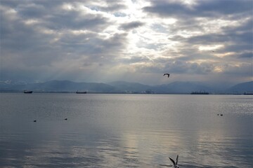 Marmara sea during overcast weather. Seagulls are flying on the Marmara sea in Kocaeli during overcast weather.