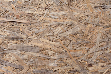 Wood texture background