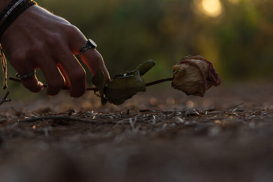 Mano de hombre con abalorios de bisuteria dejando flor en el suelo