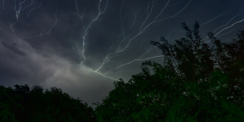 Night lightning over the forest in summer illuminates the gray gloomy sky.