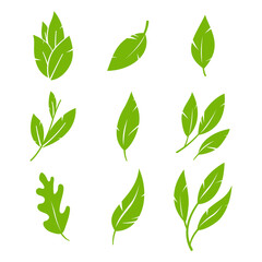 Green leaf vector flat set isolated on a white background.