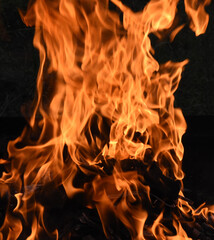 Wood burning flames and ember