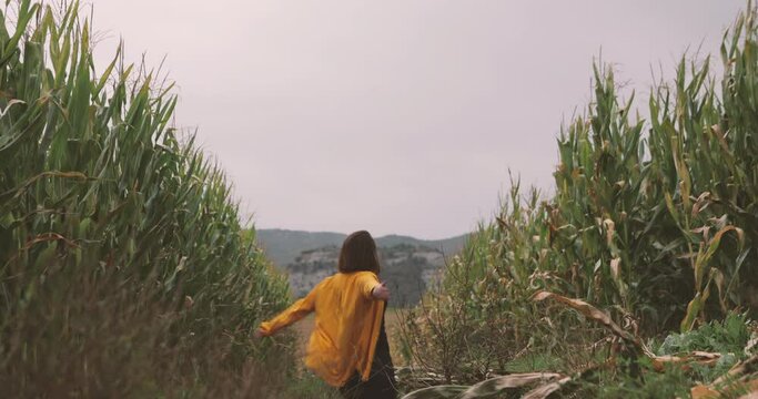 Slow motion of Caucasian woman, from the back wearing yellow shirt, walking in a corn field. Feeling happy, realized. Dreaming picture of Happiness, freedom, calmness.