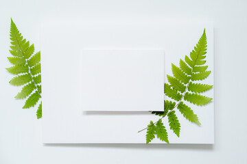 Greeting cards ideas with blank white card and fern leaves on white background.