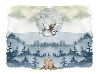 Realistic hand drawn watercolor of flying owl scandinavian wildlife illustration on forest background