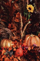 Decorations made of pumpkins, berries and dried plants. Colorful festive vertical background. Can be used as Halloween or Thanksgiving banner.