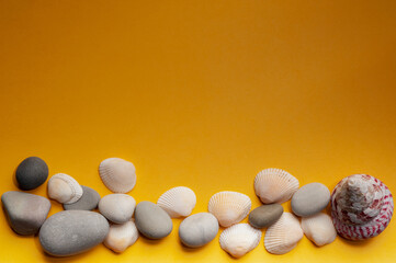 seashells and stones located below on a yellow background