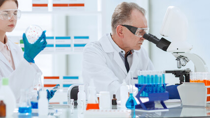 Fototapeta premium close up. scientists conduct research in the laboratory .