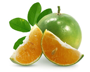 Fototapeta na wymiar Calamansi or Green orange fruits isolated on white background