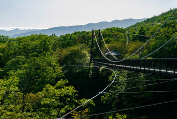 つつじ吊橋吊り橋と山の風景／日光国立公園（栃木県那須町）