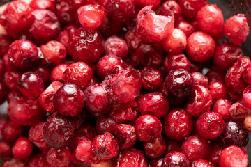 Macro shot of freeze dried organic cranberry, raw delicious snack, cooking baking ingredients. Red berries background. Natural sugars, healthy food, fresh fruits, mindful eating concept, text space