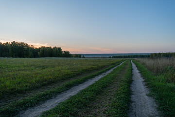 road, landscape, field, sky, nature, country, grass