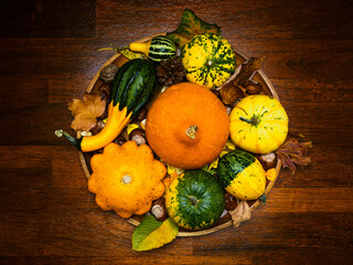 flat lay of various pumpkins on a round wooden plate on a rustic table, in brown tones