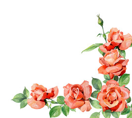 Watercolor corner of bright red roses on a white background
