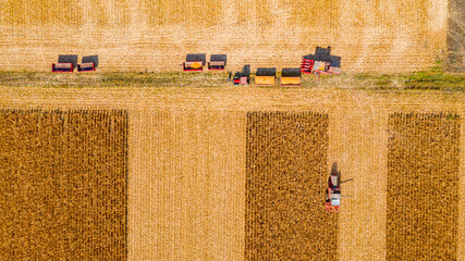 Fototapeta na wymiar Aerial view of two combines, harvester machines are harvest ripe maize