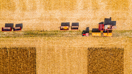 Fototapeta na wymiar Above view on combine transferring freshly harvested cereal into trailer for transport