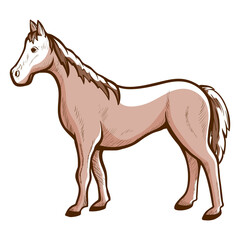 Horse hand drawn icon. Racehorse, courser chestnut, sorrel or bay color. Domestic, farm animal.