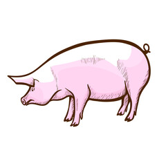 Pig hand drawn icon. Swine, piglet. Hog-raising farm, piggery. Pork production. Domestic animal.