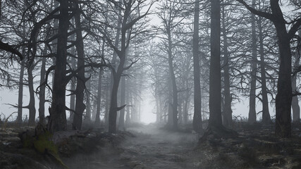 3d render of a scary and empty forest in the fog