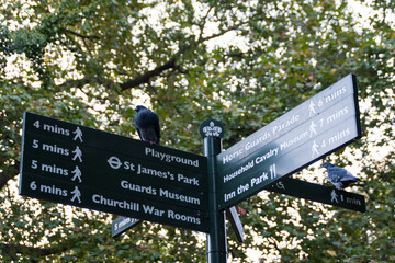 Saint o St. James Park con cartel o poster en la ciudad de Londres, pais de Inglaterra, Reino Unido, Gran Bretaña