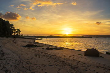 Obraz premium Golden sunset on the beach