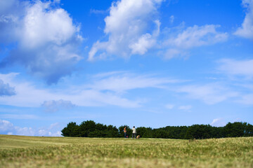 青森県、種差海岸の風景