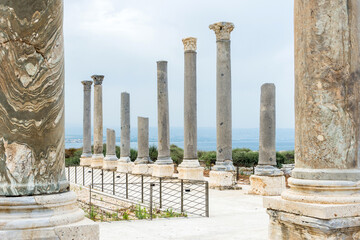 Fototapeta premium Nine granite columns, part of the palaestra in Al Mina archaeological site, Roman ruins in Tyre, Lebanon