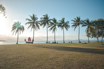 Obraz premium palms on the beach