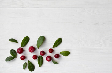 Cranberries with twigs and leaves on a white background with space for text. Natural medicine.