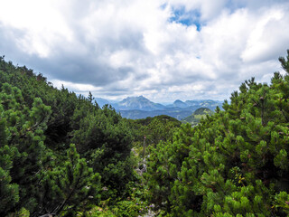 Swiss pine trees overgrowing the mountain slopes of Hochschwab in Austria. Panoramic view on the surrounding mountain chains. Overcast and cloudy day.