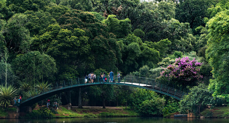 People staning on the bridge over a lake