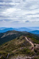 Mountain path in the Bieszczady Mountains.