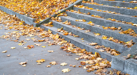 jesienne liście na schodach w parku - obrazy, fototapety, plakaty