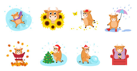 Fototapeta na wymiar Cute cartoon bulls in different activities and seasons. Set of vector illustrations isolated on white background. Collection for your design