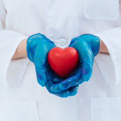 close up. doctor in protective gloves holds the heart .