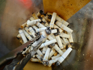 タバコの吸い殻を拾う