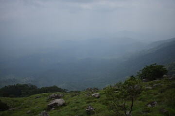 Fototapeta premium landscape with fog