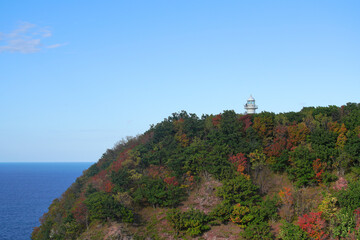 北海道「知床国立公園」の知床五湖、地上遊歩道の散策コースからの景色
