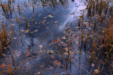 Reflections in the lake in autumn.