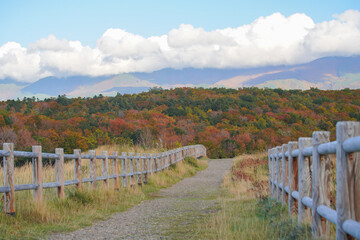 Fototapeta na wymiar 北海道「知床国立公園」の知床五湖、地上遊歩道の散策コースからの景色