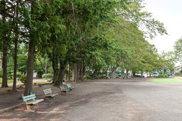旭が丘中央公園（東京都日野市）