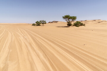 Main road in the sahara desert, Chad