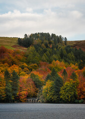 Vibrants autumn trees of red, orange and green on a lake