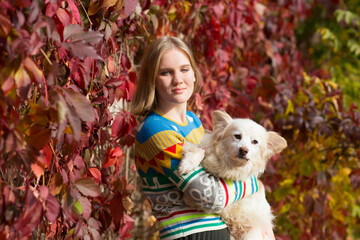 young beautiful woman holds his dog in his hands  in the autumn outdoor