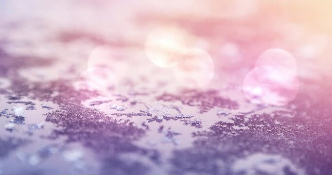 Animation of dried leaves in winter covered in snow and frost with light spots