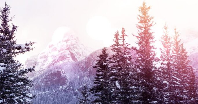 Animation of winter scenery landscape with light spots mountains and fir trees covered in snow