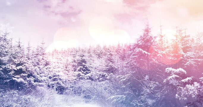 Animation of landscape with winter scenery and fir tree forest covered in snow