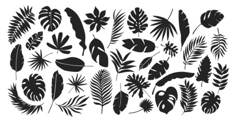 Vector Collection of Leaf Silhouettes